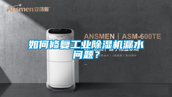 如何修復(fù)工業(yè)除濕機(jī)漏水問題？