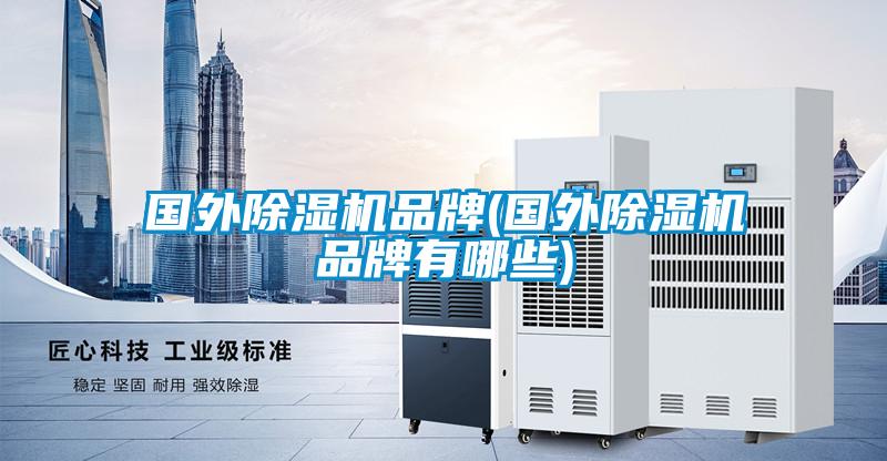 國(guó)外除濕機(jī)品牌(國(guó)外除濕機(jī)品牌有哪些)