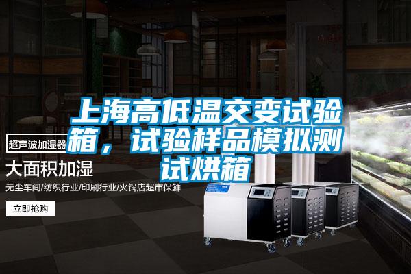 上海高低溫交變試驗箱，試驗樣品模擬測試烘箱
