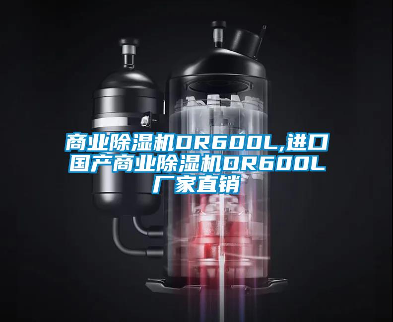 商業(yè)除濕機DR600L,進口國產(chǎn)商業(yè)除濕機DR600L廠家直銷