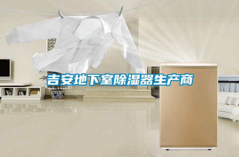 吉安地下室除濕器生產(chǎn)商