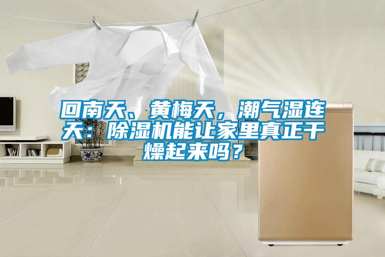 回南天、黃梅天，潮氣濕連天：除濕機能讓家里真正干燥起來嗎？