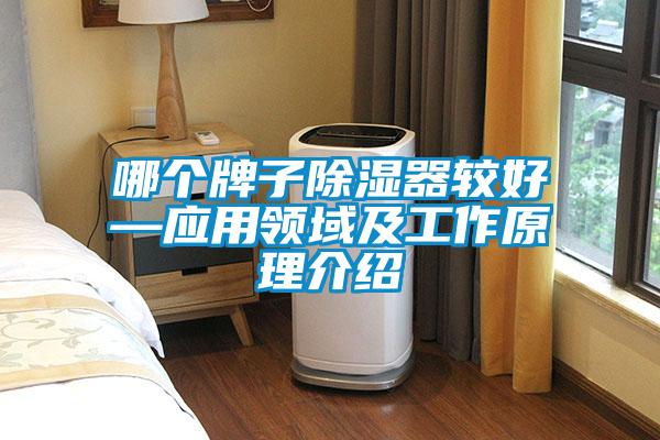 哪個牌子除濕器較好—應(yīng)用領(lǐng)域及工作原理介紹