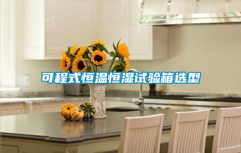 可程式恒溫恒濕試驗(yàn)箱選型