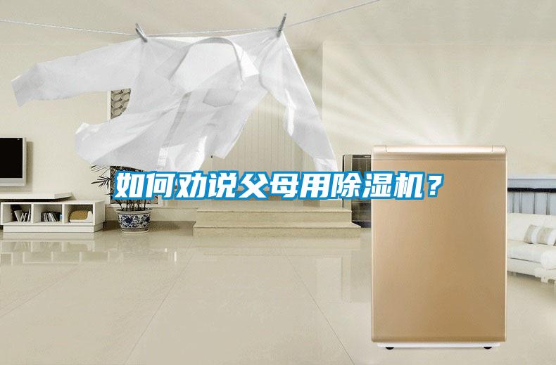 如何勸說父母用除濕機(jī)？