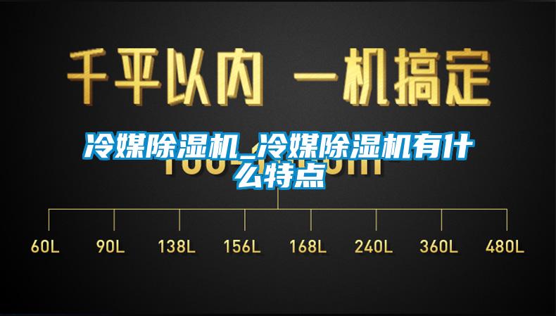 冷媒除濕機(jī)_冷媒除濕機(jī)有什么特點(diǎn)
