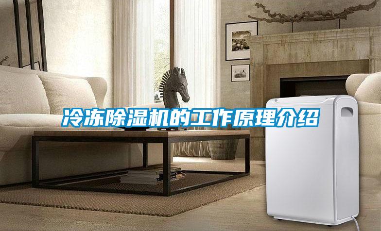 冷凍除濕機(jī)的工作原理介紹