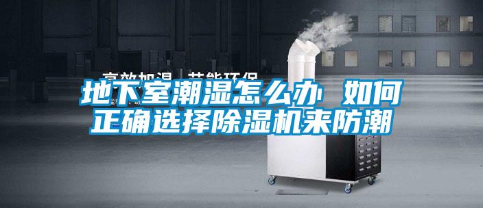 地下室潮濕怎么辦 如何正確選擇除濕機(jī)來防潮