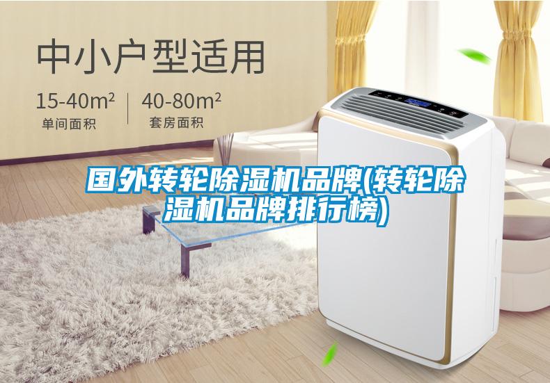 國外轉(zhuǎn)輪除濕機品牌(轉(zhuǎn)輪除濕機品牌排行榜)