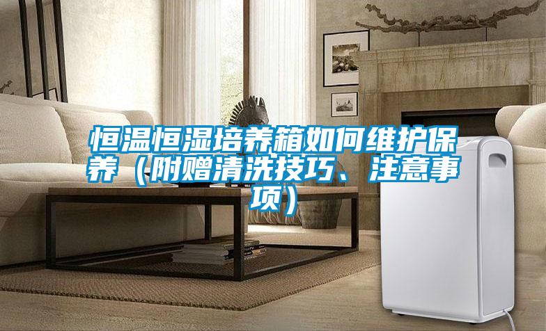 恒溫恒濕培養(yǎng)箱如何維護保養(yǎng)（附贈清洗技巧、注意事項）
