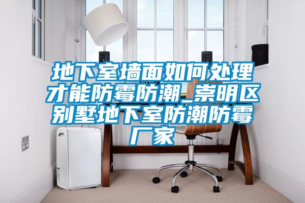 地下室墻面如何處理才能防霉防潮_崇明區(qū)別墅地下室防潮防霉廠家