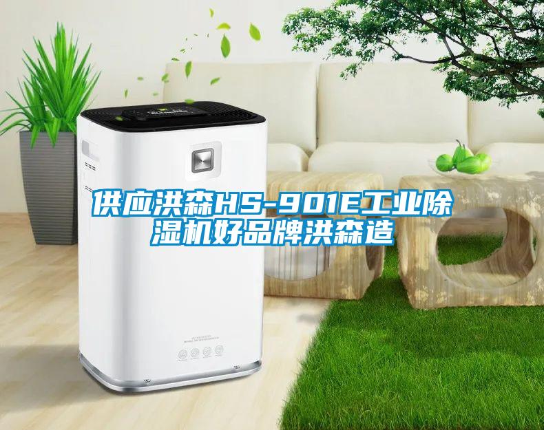 供應(yīng)洪森HS-901E工業(yè)除濕機(jī)好品牌洪森造
