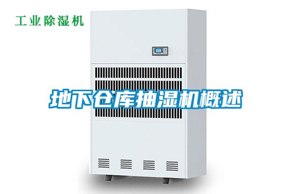 地下倉(cāng)庫(kù)抽濕機(jī)概述