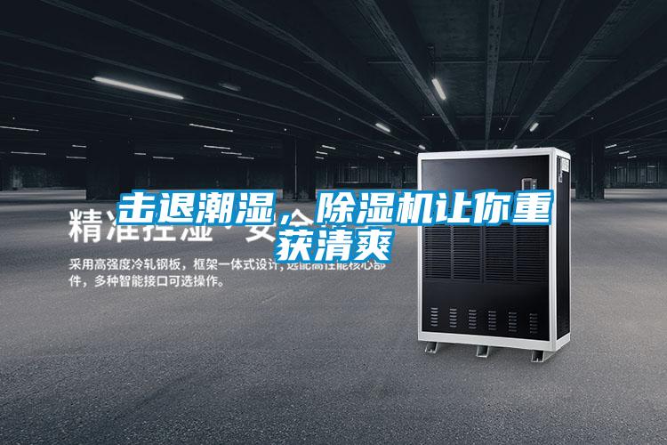 擊退潮濕，除濕機讓你重獲清爽