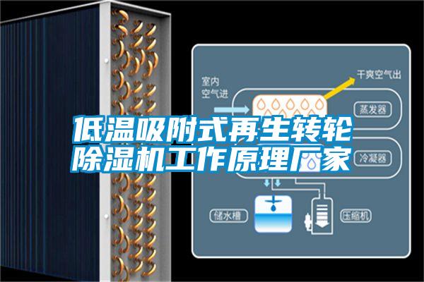 低溫吸附式再生轉輪除濕機工作原理廠家
