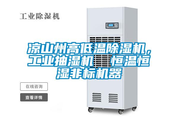 涼山州高低溫除濕機，工業(yè)抽濕機  恒溫恒濕非標(biāo)機器