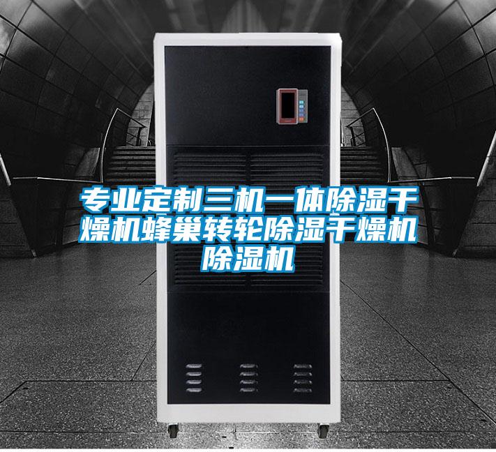 專業(yè)定制三機一體除濕干燥機蜂巢轉(zhuǎn)輪除濕干燥機除濕機