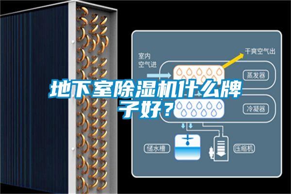 地下室除濕機(jī)什么牌子好？