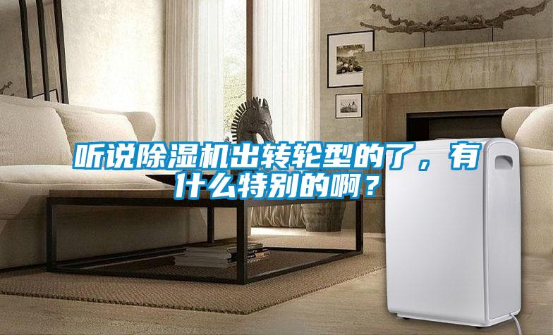 聽(tīng)說(shuō)除濕機(jī)出轉(zhuǎn)輪型的了，有什么特別的啊？