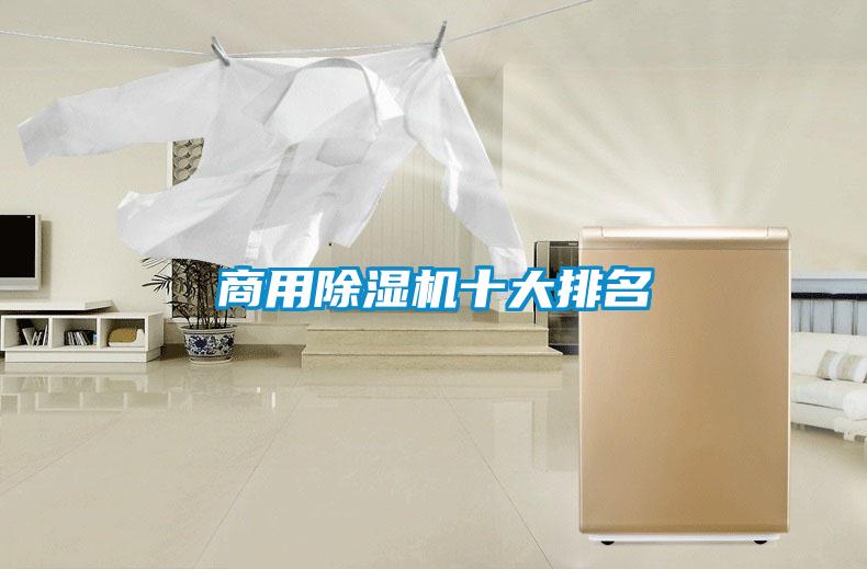 商用除濕機(jī)十大排名