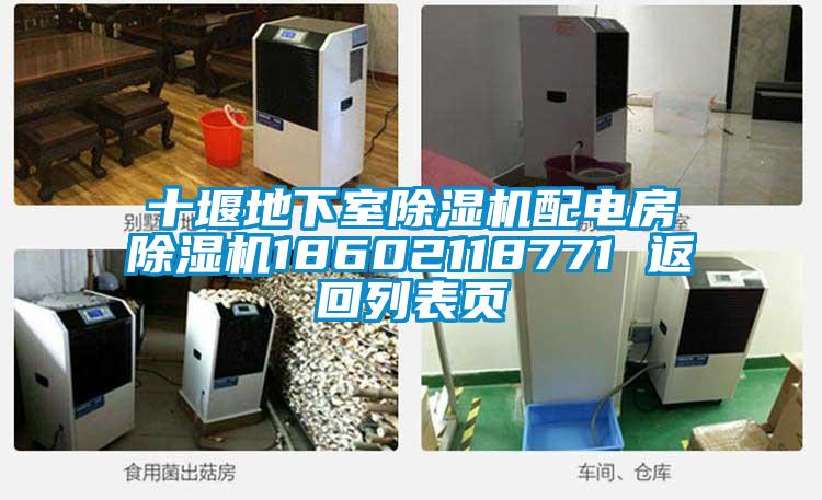 十堰地下室除濕機(jī)配電房除濕機(jī)18602118771 返回列表頁