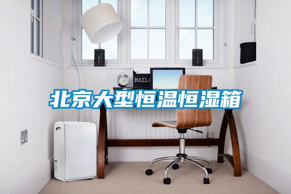 北京大型恒溫恒濕箱