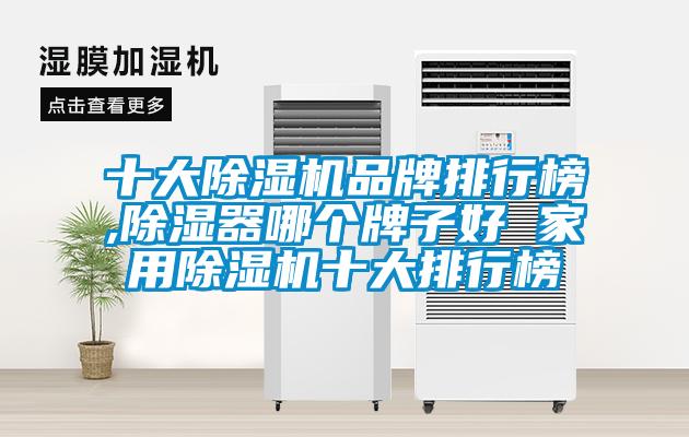 十大除濕機(jī)品牌排行榜,除濕器哪個(gè)牌子好 家用除濕機(jī)十大排行榜