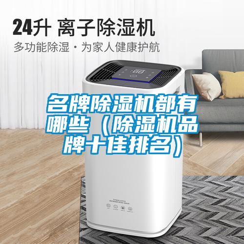 名牌除濕機(jī)都有哪些（除濕機(jī)品牌十佳排名）