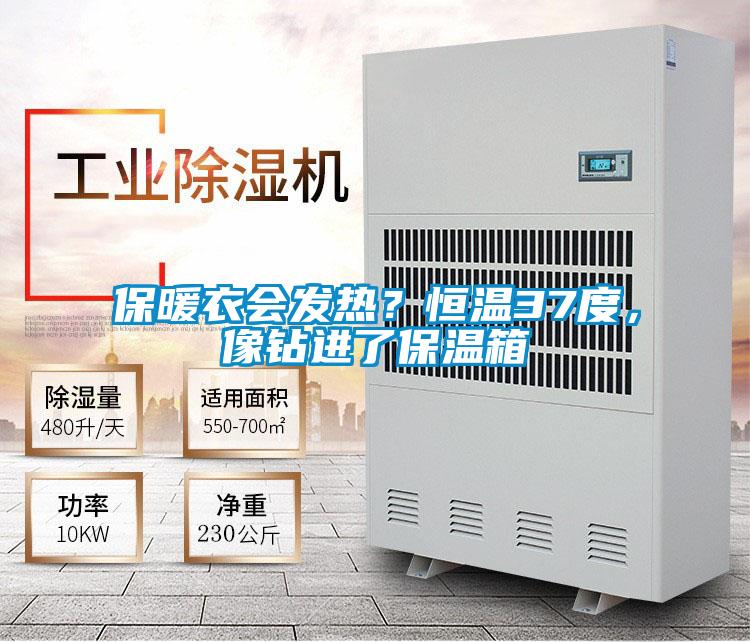 保暖衣會(huì)發(fā)熱？恒溫37度，像鉆進(jìn)了保溫箱