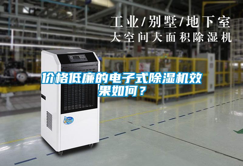 價格低廉的電子式除濕機效果如何？