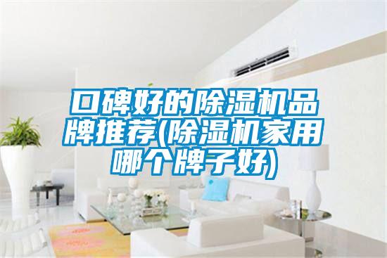 口碑好的除濕機(jī)品牌推薦(除濕機(jī)家用哪個(gè)牌子好)