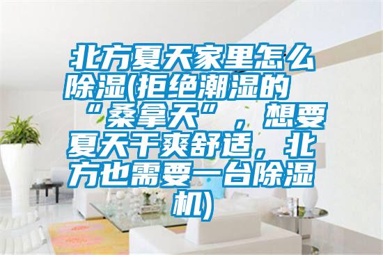 北方夏天家里怎么除濕(拒絕潮濕的“桑拿天”，想要夏天干爽舒適，北方也需要一臺除濕機(jī))