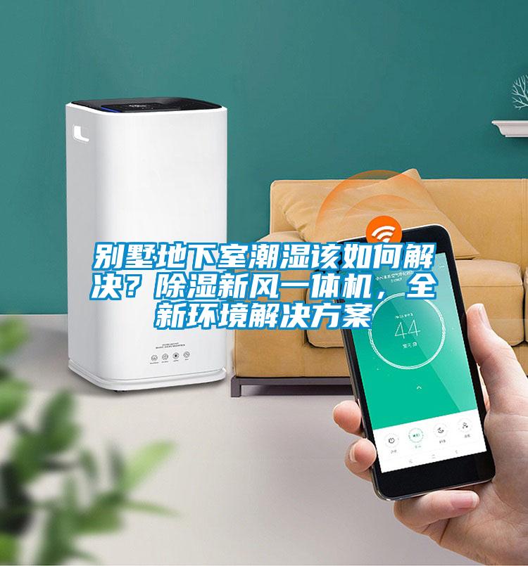 別墅地下室潮濕該如何解決？除濕新風(fēng)一體機(jī)，全新環(huán)境解決方案