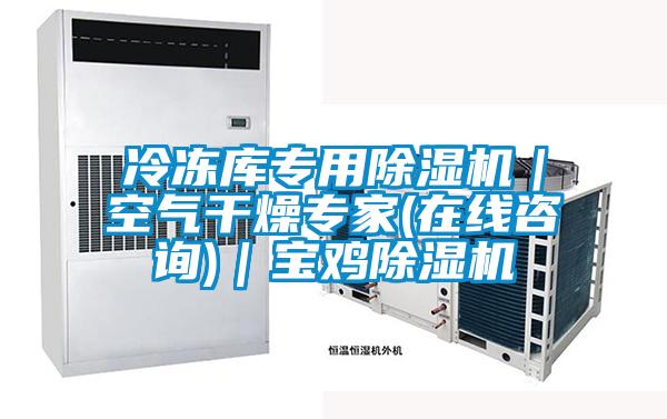 冷凍庫專用除濕機｜空氣干燥專家(在線咨詢)｜寶雞除濕機