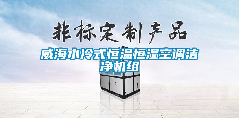 威海水冷式恒溫恒濕空調(diào)潔凈機(jī)組