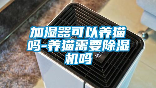 加濕器可以養(yǎng)貓嗎-養(yǎng)貓需要除濕機(jī)嗎