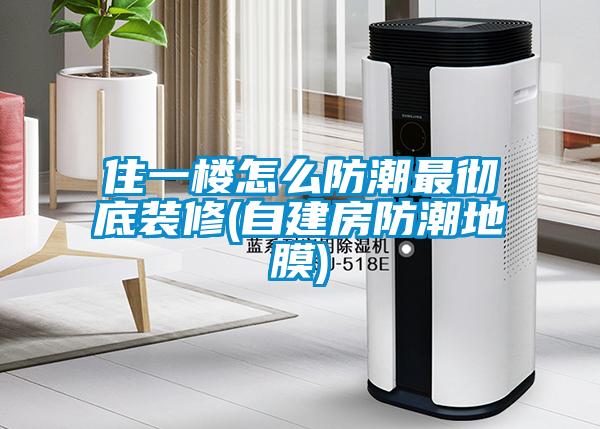 住一樓怎么防潮最徹底裝修(自建房防潮地膜)