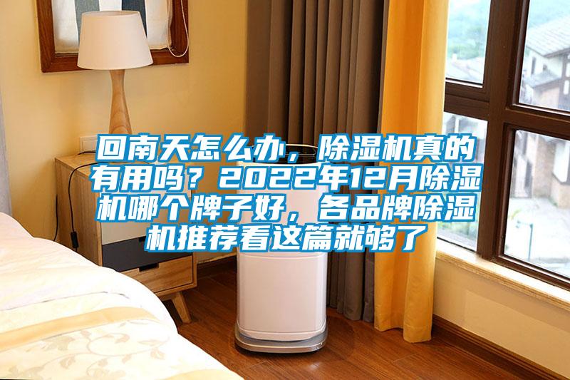 回南天怎么辦，除濕機(jī)真的有用嗎？2022年12月除濕機(jī)哪個(gè)牌子好，各品牌除濕機(jī)推薦看這篇就夠了
