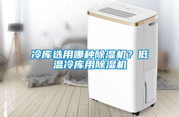 冷庫選用哪種除濕機？低溫冷庫用除濕機