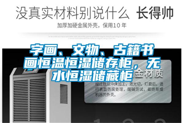 字畫(huà)、文物、古籍書(shū)畫(huà)恒溫恒濕儲(chǔ)存柜，無(wú)水恒濕儲(chǔ)藏柜