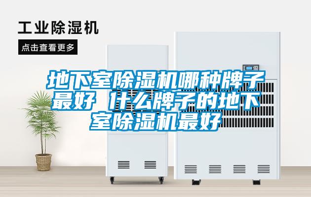 地下室除濕機哪種牌子最好 什么牌子的地下室除濕機最好