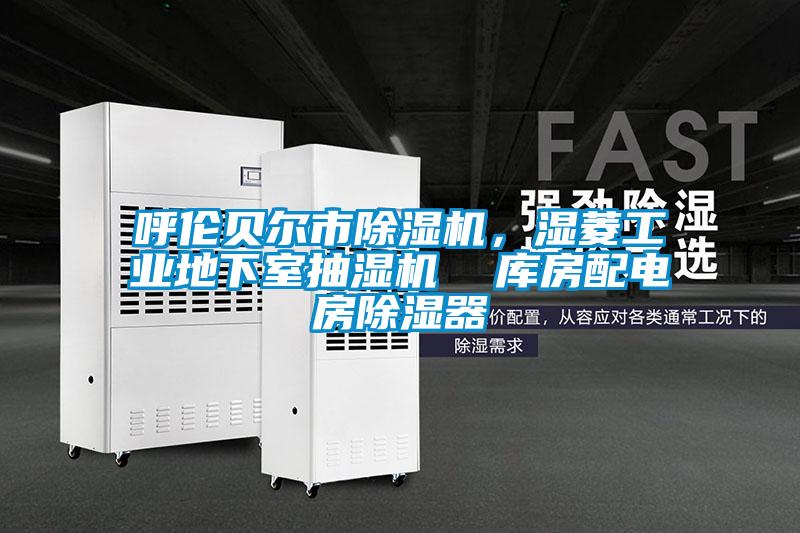 呼倫貝爾市除濕機(jī)，濕菱工業(yè)地下室抽濕機(jī)  庫房配電房除濕器