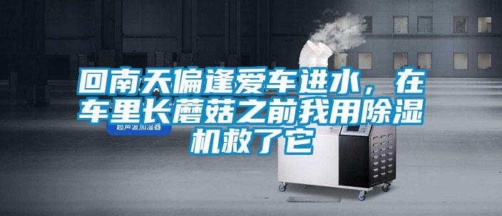 回南天偏逢愛車進水，在車里長蘑菇之前我用除濕機救了它
