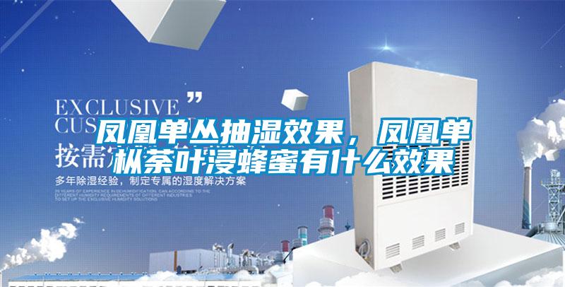 鳳凰單叢抽濕效果，鳳凰單樅荼葉浸蜂蜜有什么效果