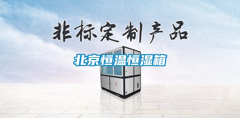 北京恒溫恒濕箱