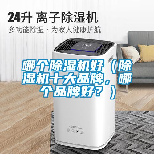 哪個除濕機(jī)好（除濕機(jī)十大品牌，哪個品牌好？）