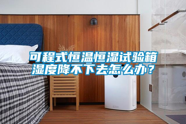 可程式恒溫恒濕試驗箱濕度降不下去怎么辦？