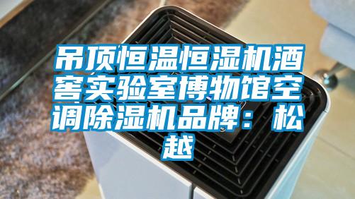 吊頂恒溫恒濕機(jī)酒窖實(shí)驗(yàn)室博物館空調(diào)除濕機(jī)品牌：松越