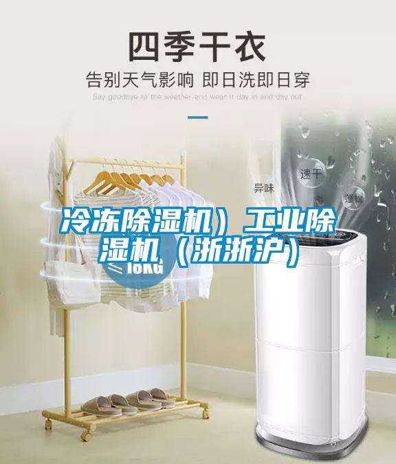 冷凍除濕機(jī)）工業(yè)除濕機(jī)（浙浙滬）