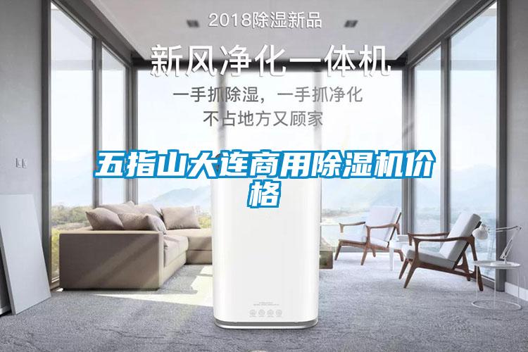 五指山大連商用除濕機價格